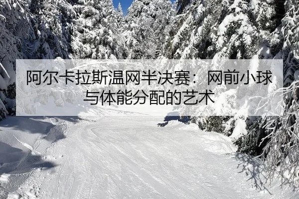 a-er-ka-la-si-wen-wang-ban-jue-sai-wang-qian-xiao-qiu-yu-ti-neng-fen-pei-de-yi-shu-2-650.jpg