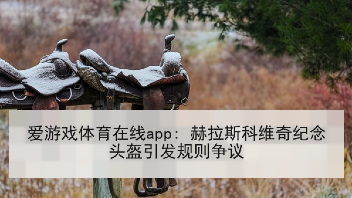爱游戏体育在线app: 赫拉斯科维奇纪念头盔引发规则争议