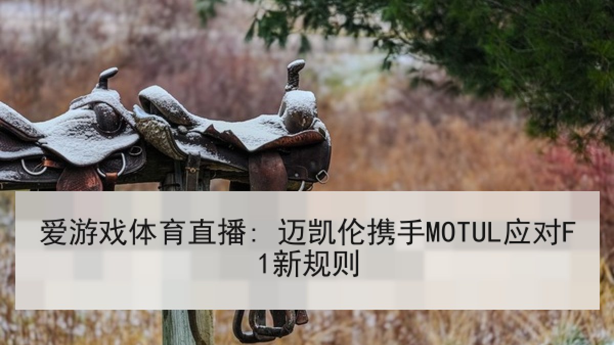 爱游戏体育直播: 迈凯伦携手MOTUL应对F1新规则