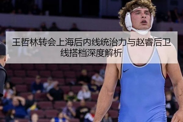 王哲林转会上海后内线统治力与赵睿后卫线搭档深度解析