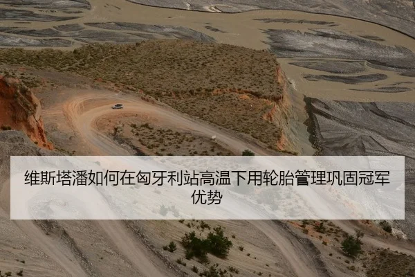 维斯塔潘如何在匈牙利站高温下用轮胎管理巩固冠军优势