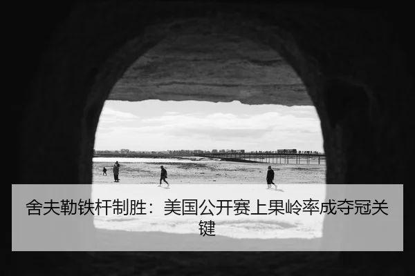 舍夫勒铁杆制胜：美国公开赛上果岭率成夺冠关键