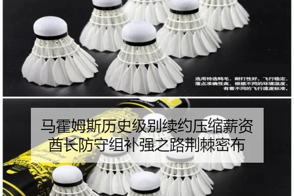 ma-huo-mu-si-li-shi-ji-bie-xu-yue-ya-suo-xin-zi-qiu-zhang-fang-shou-zu-bu-qiang-zhi-lu-jing-ji-mi-bu-3-897.jpg